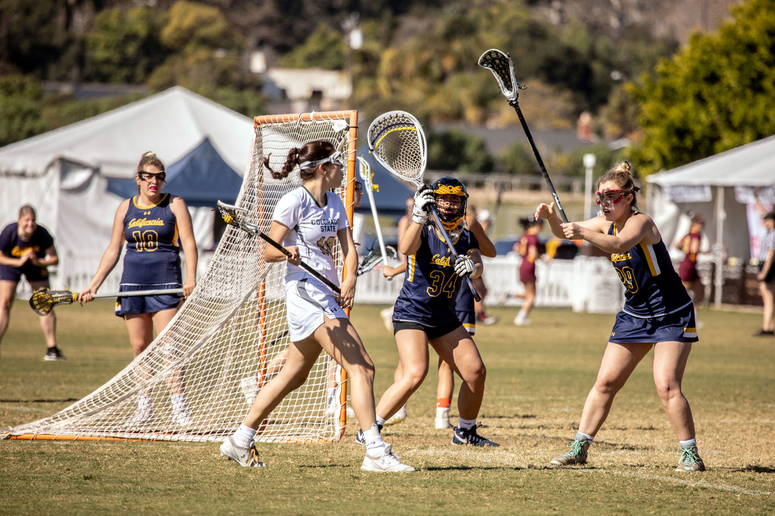 Sports site The Western Women’s Lacrosse League
